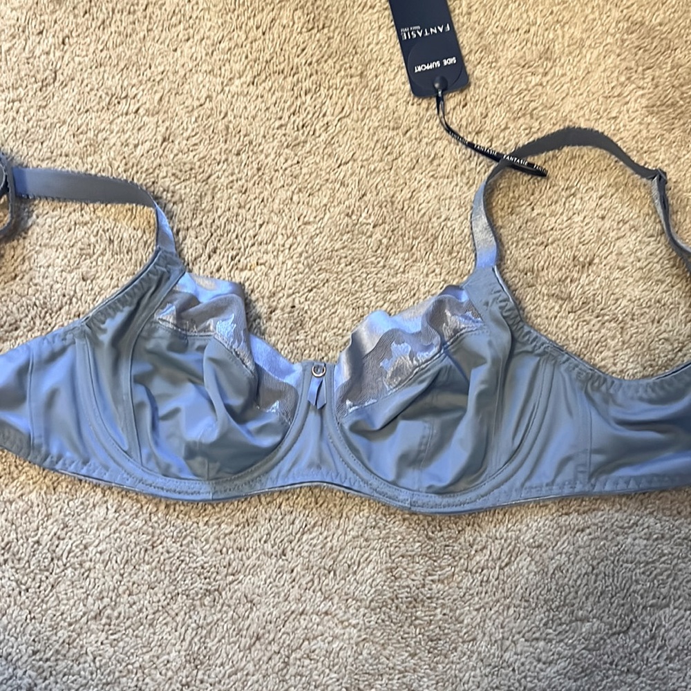 NWT Bare Necessities Fantasy bra